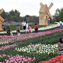 Новини України - Сухо, подекуди грози: в Україні відступає спекотна погода