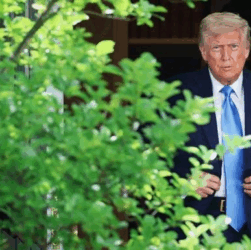 Новини світу - Трамп заявив про укладення договору між Конго і Руандою