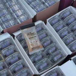 Новини України - У посилках з Німеччини: викрито канал постачання наркотиків в Україну