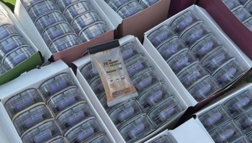 Новини України - У посилках з Німеччини: викрито канал постачання наркотиків в Україну