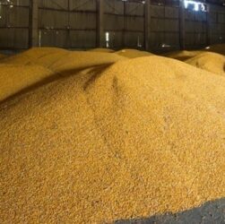 Новини бізнесу - Україна пригрозила санкціями Бангладеш