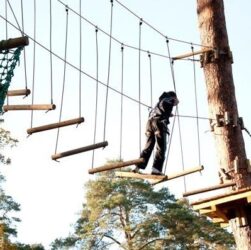 Новини Києва - В Києві підліток упав з канатної дороги