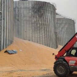Новини України - В Україні підрахували втрати сільського господарства від війни