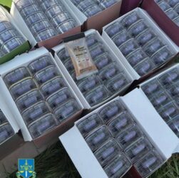 Новини України - В Україні викрили міжнародний канал наркопостачання