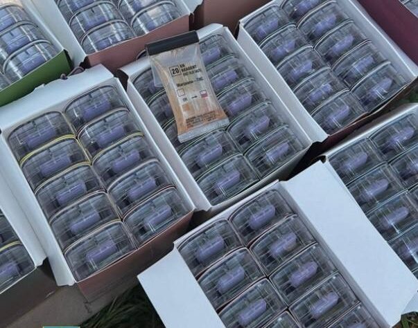Новини України - В Україні викрили міжнародний канал наркопостачання