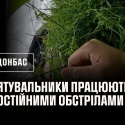 Донеччина: за минулу добу рятувальники ліквідували 5 пожеж, спричинених обстрілами.
