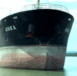 Новини бізнесу - АРМА продасть судно, яке заходило до окупованого Криму