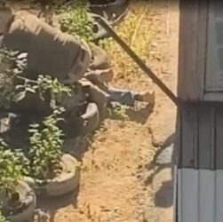 Новини України - ДБР розслідує побиття в Миколаєві чоловіка людьми у військовій формі