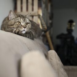 Новини культури - Гороскоп для всіх знаків зодіаку на 15 липня 2025 року