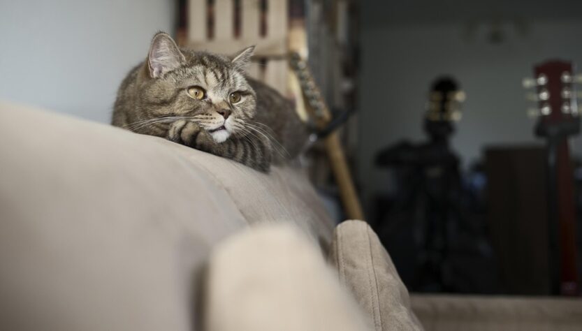 Новини культури - Гороскоп для всіх знаків зодіаку на 15 липня 2025 року