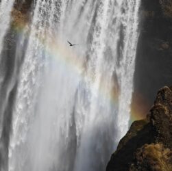 Новини культури - Гороскоп для всіх знаків зодіаку на 16 липня 2025 року