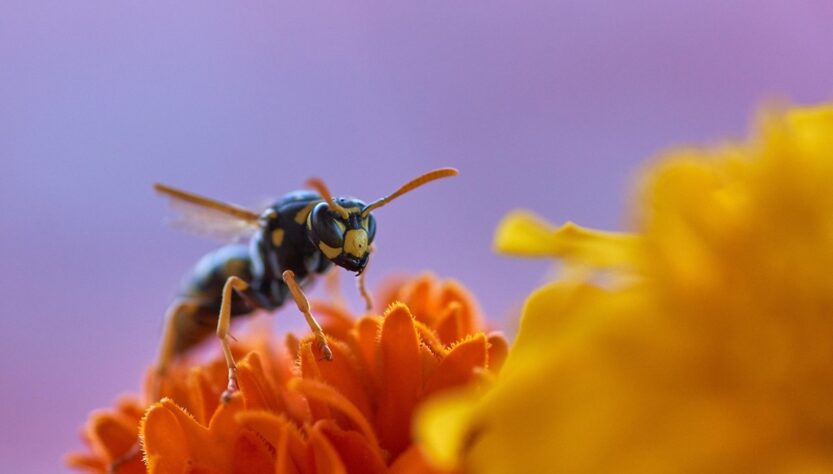 Новини культури - Гороскоп для всіх знаків зодіаку на 18 липня 2025 року