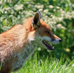 Новини культури - Гороскоп для всіх знаків зодіаку на 22 липня 2025 року
