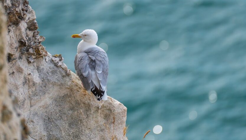 Новини культури - Гороскоп для всіх знаків зодіаку на 23 липня 2025 року
