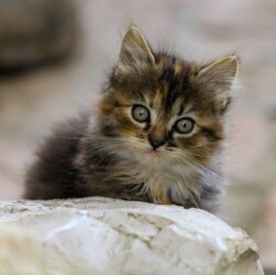 Новини культури - Гороскоп для всіх знаків зодіаку на 30 липня 2025 року