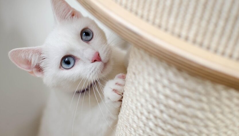 Новини культури - Гороскоп для всіх знаків зодіаку на 4 липня 2025 року