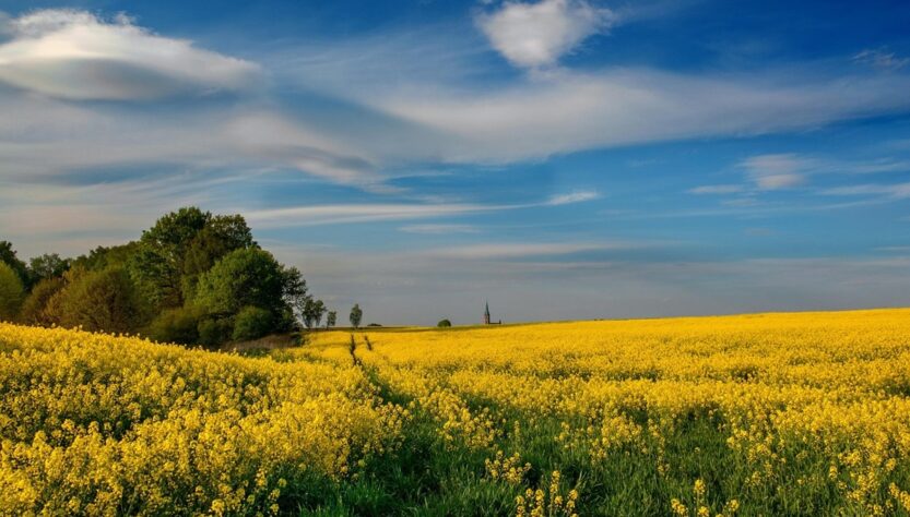 Новини культури - Гороскоп для всіх знаків зодіаку на 9 липня 2025 року