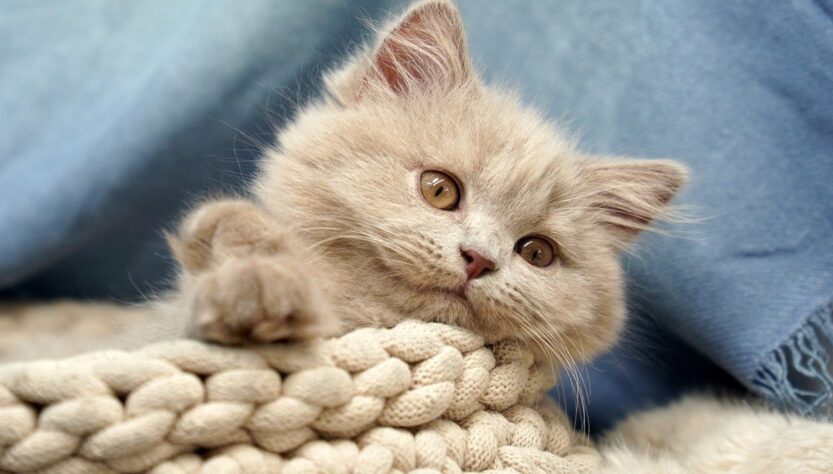 Новини культури - Гороскоп для всіх знаків зодіаку на вихідні 19-20 липня 2025 року