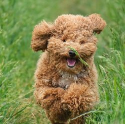 Новини культури - Гороскоп для всіх знаків зодіаку на вихідні 26-27 липня 2025 року