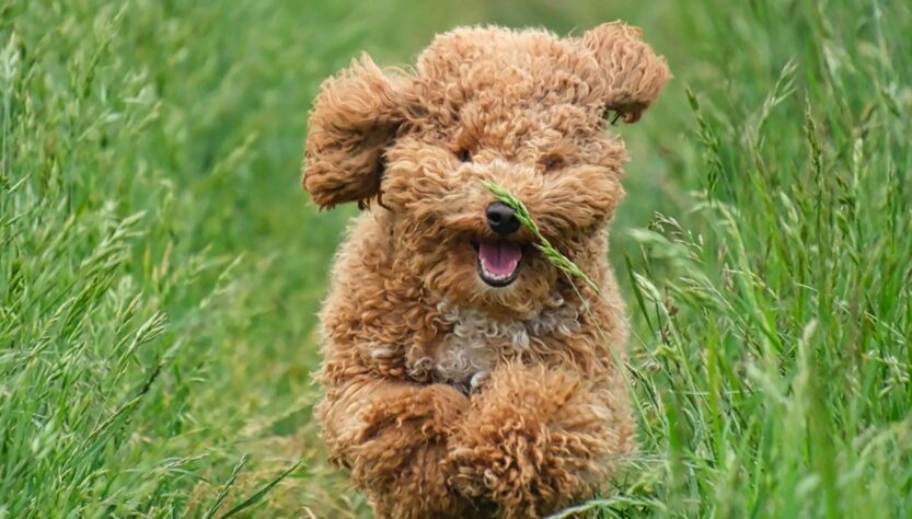 Новини культури - Гороскоп для всіх знаків зодіаку на вихідні 26-27 липня 2025 року