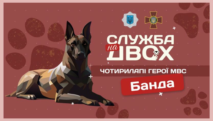 🎖 БАНДА – собака-герой України та вірна напарниця | Служба на двох