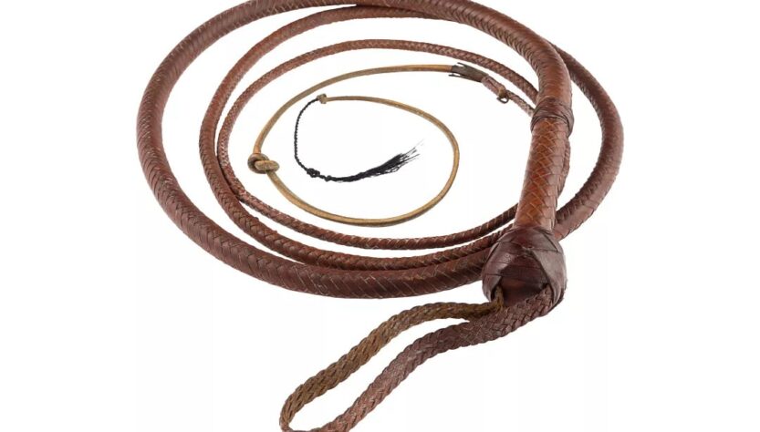 Новини культури - Легендарний батіг Індіани Джонса продали на аукціоні