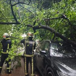 Новини України - На Буковині через негоду понад 26 тисяч споживачів залишились без світла