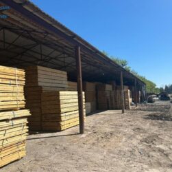 Новини України - На Житомирщині судитимуть посадовців за розкрадання лісу