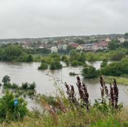Новини України - Негода в Україні: названо області з небезпечними погодними умовами