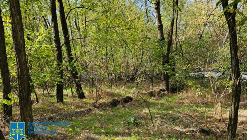 Новини України - Незаконна вирубка лісу на Дніпропетровщині призвела до 34 млн збитків