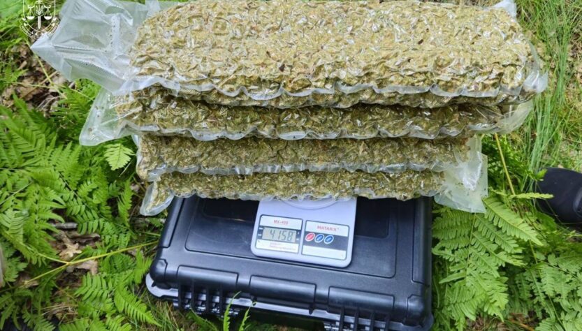 Новини України - Правоохоронці знешкодили наркокартель із Кривого Рогу