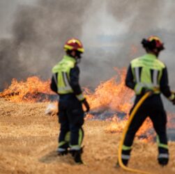 Новини світу - Рекордна спека в Іспанії спричинила лісові пожежі, двоє загиблих