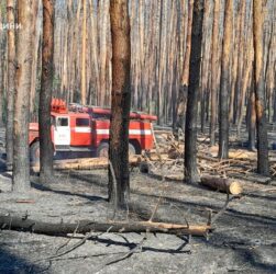 Новини України - Російські обстріли Харківщини викликали вісім пожеж