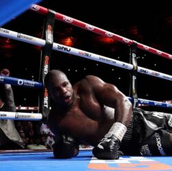 Новини спорту - Рой Джонс оцінив поведінку Дюбуа у реванші з Усиком