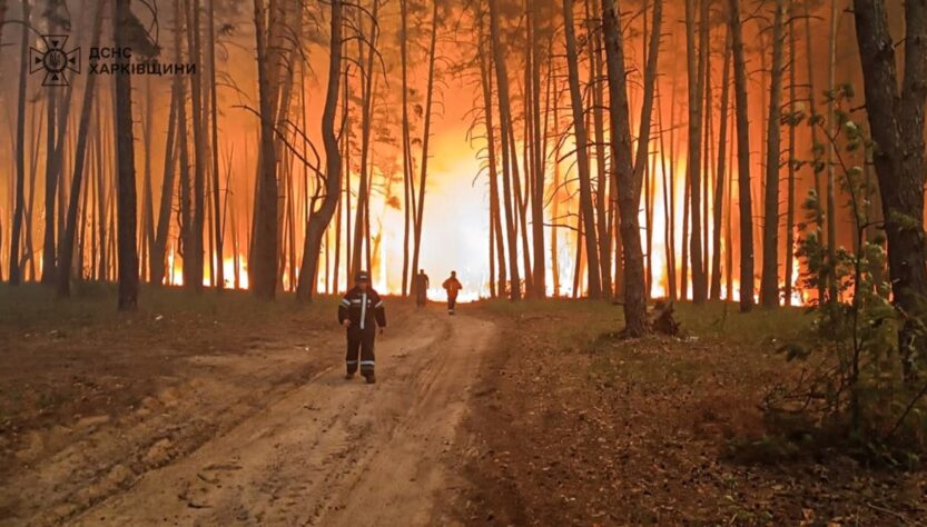 Новини України - Рятувальники ліквідували понад дві сотні пожеж з початку доби