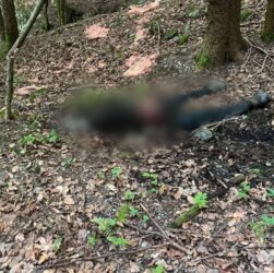 Новини України - Рятувальники виявили тіло людини у горах поблизу кордону з Румунією