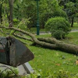 Новини України - У Харкові вітер повалив майже 450 дерев - мер