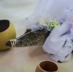 Новини світу - У Мексиці мер одружився з кайманом