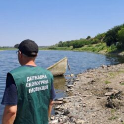 Новини України - В озері на Запоріжжі зафіксували масовий мор риби