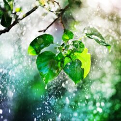 Новини України - В Україні чергуватимуться грози зі спекою до +37°