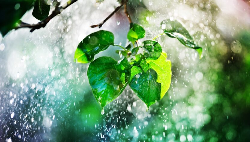 Новини України - В Україні чергуватимуться грози зі спекою до +37°