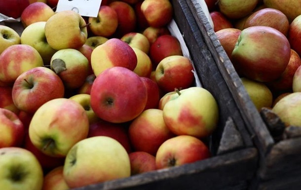 Новини бізнесу - В Україні різко подорожчали яблука нового врожаю