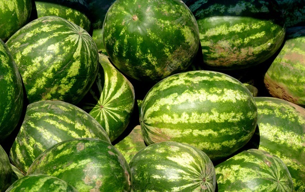 Новини бізнесу - В Україні стрімко знижуються ціни на кавуни