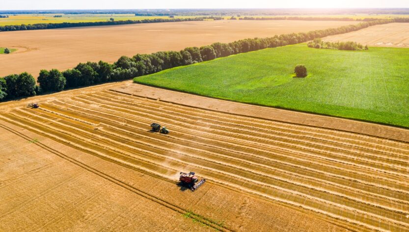 Новини бізнесу - В Україні зібрали понад 10 млн тонн нового врожаю