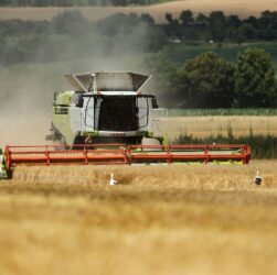 Новини України - В Україні значно зросла вартість гектара землі