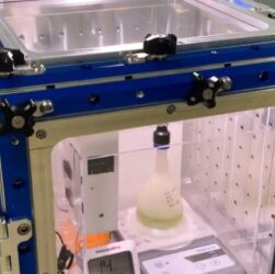 Технології - Вчені виростили водорості в умовах Марса