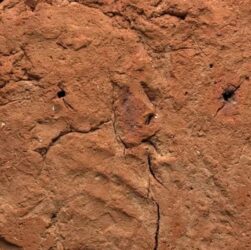 Технології - Відбиток долоні гончара знайшли в гробниці Стародавнього Єгипту