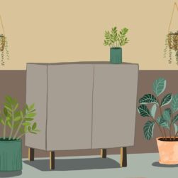 Новини бізнесу - Зелений оазис у розпалі літа: як кімнатні рослини рятують від спеки та стресу