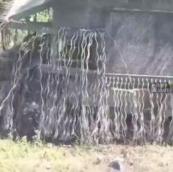 Новини України - ЗСУ показали трофейний російський "танк-монстр"