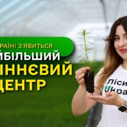 НАЙБІЛЬШИЙ в Україні ЗАВОД з виробництва СІЯНЦІВ / ДП "Ліси України" виконує програму ЗЕЛЕНА КРАЇНА